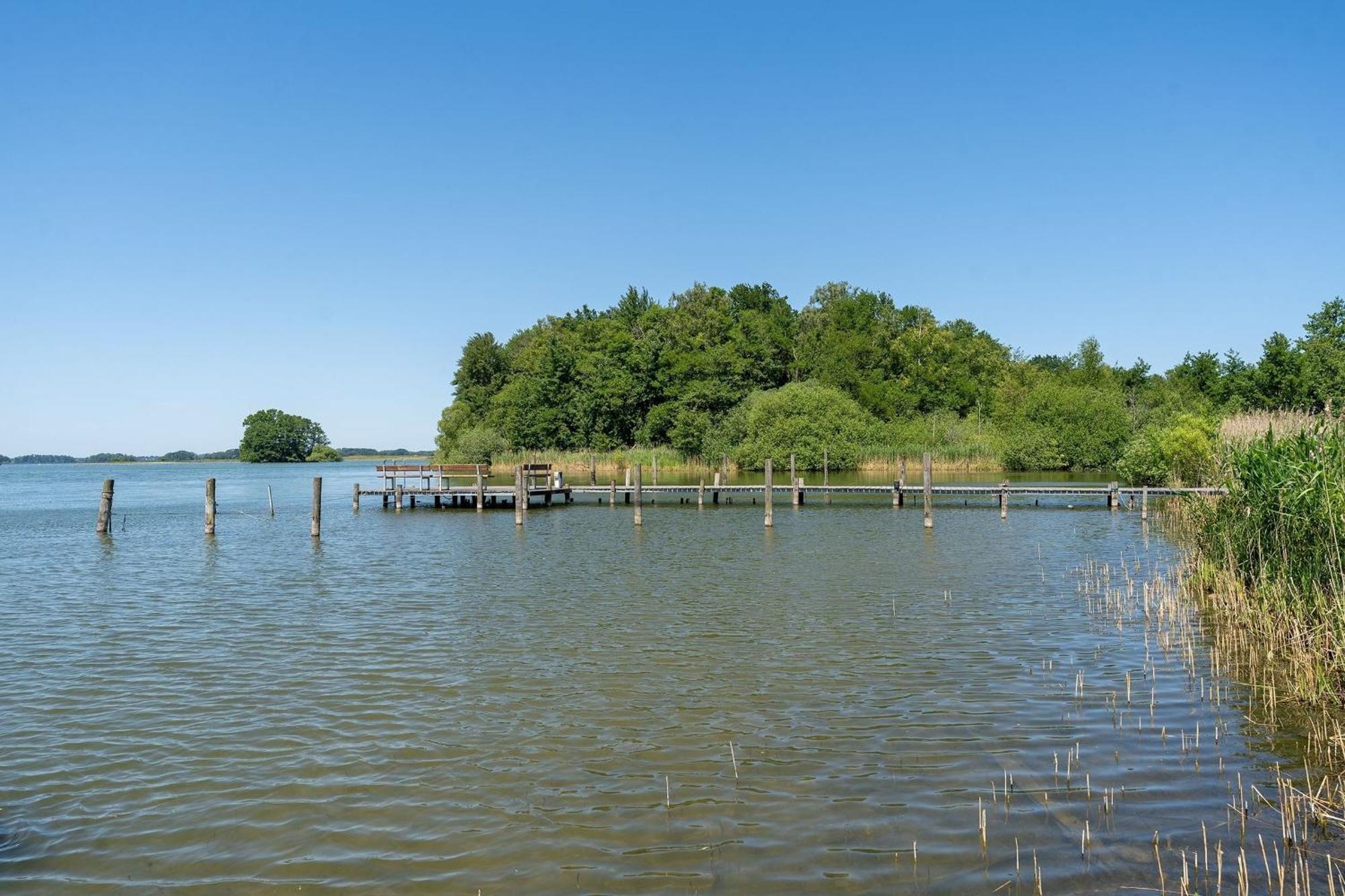 Haus Schwanensee Seeblick Bischofsee Bosau Eksteriør billede